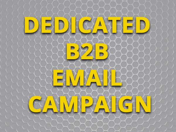 Dedicated B2B Email Campaign